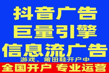 XX行业竞价广告的投放策略与效果分析